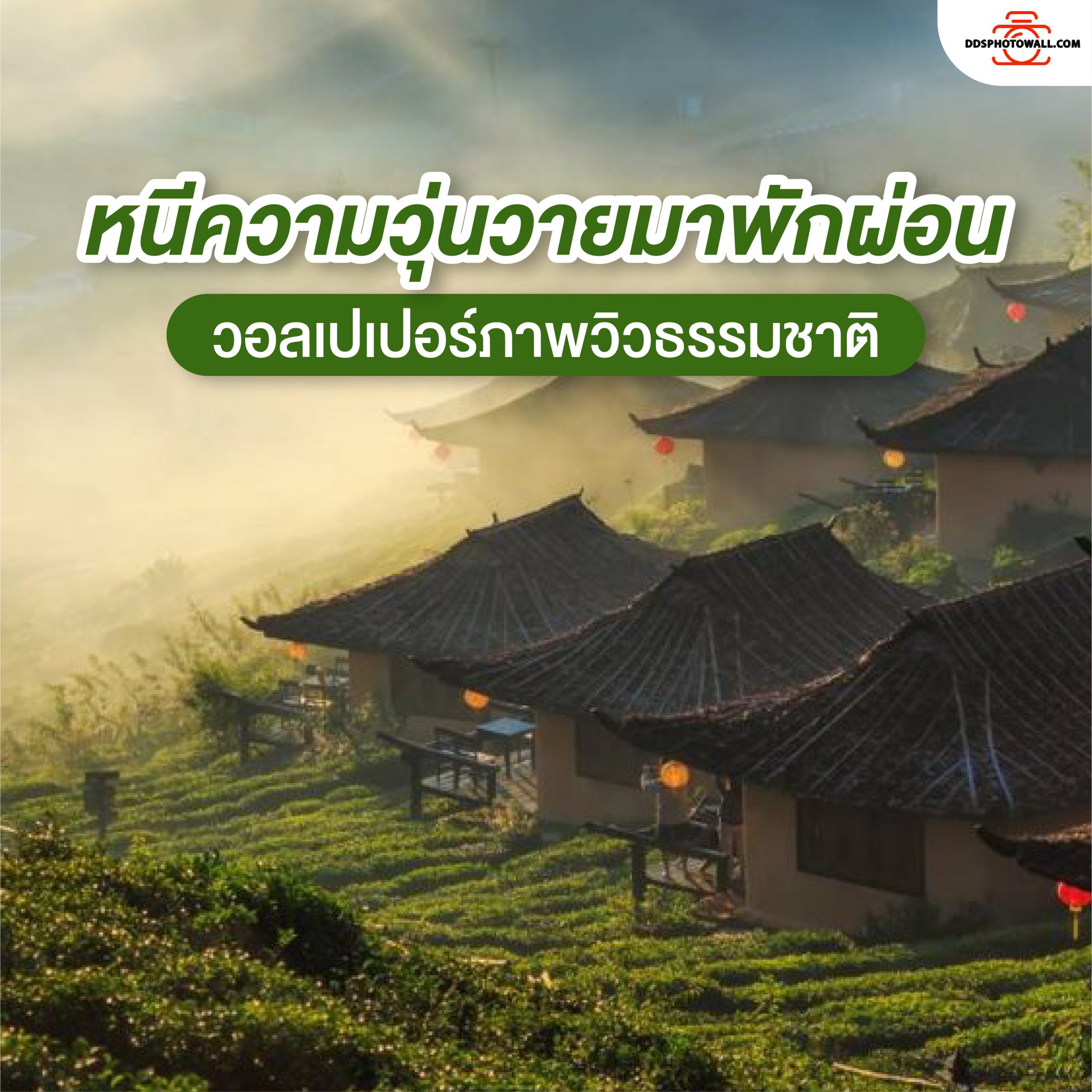 หนีความวุ่นวายมาพักผ่อนกับธรรมชาติบนผนังห้องด้วยวอลเปเปอร์